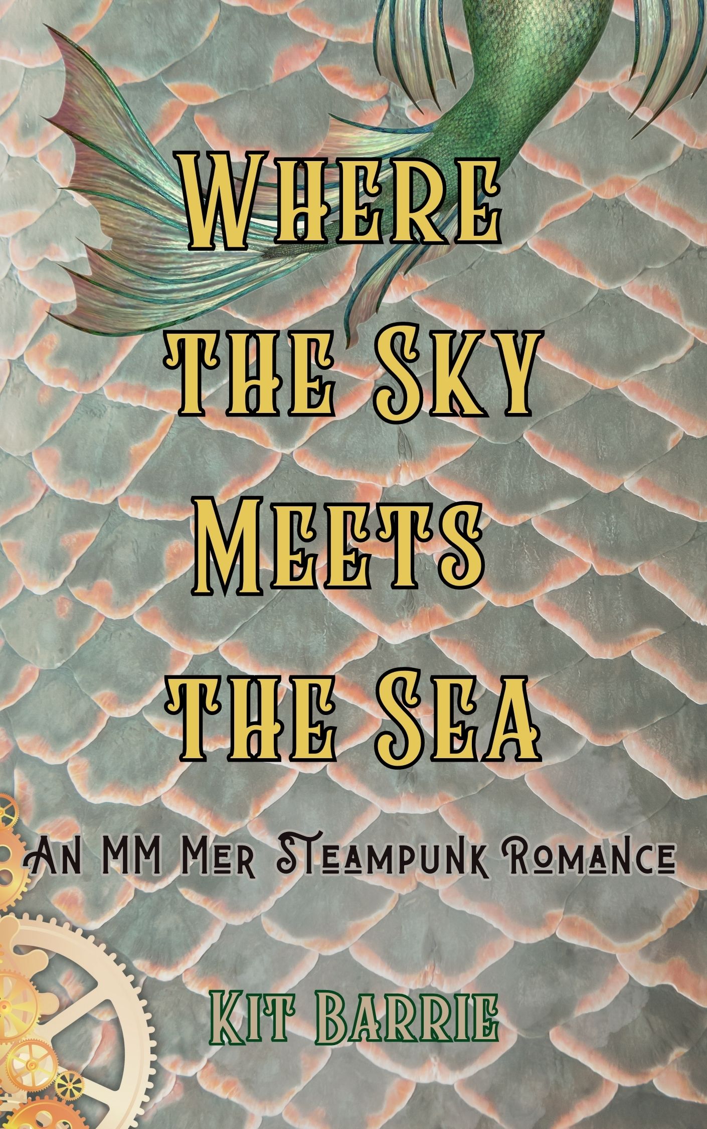 Where the Sky Meets the Sea Cover