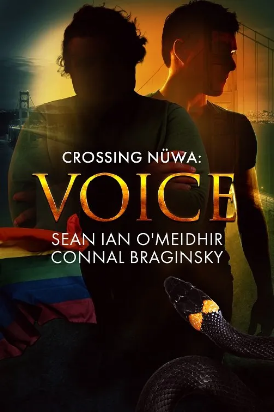Book 3 Voice Cover