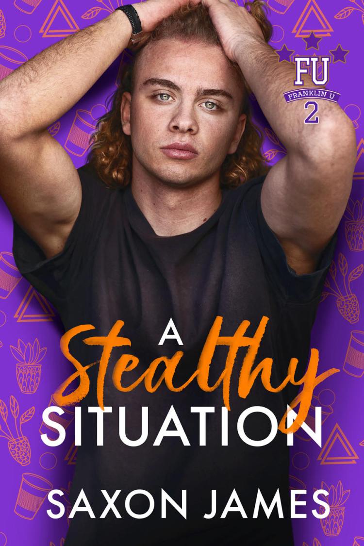 A Stealthy Situation Cover