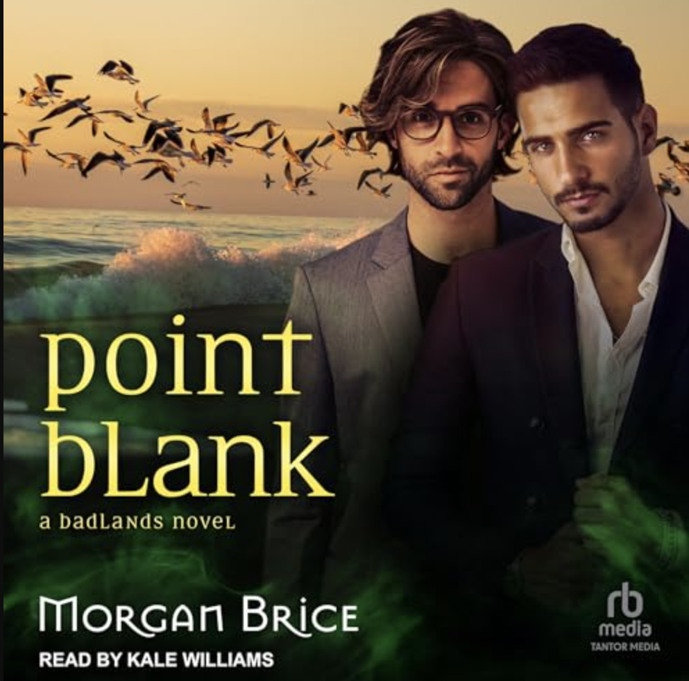 Point Blank Audiobook
